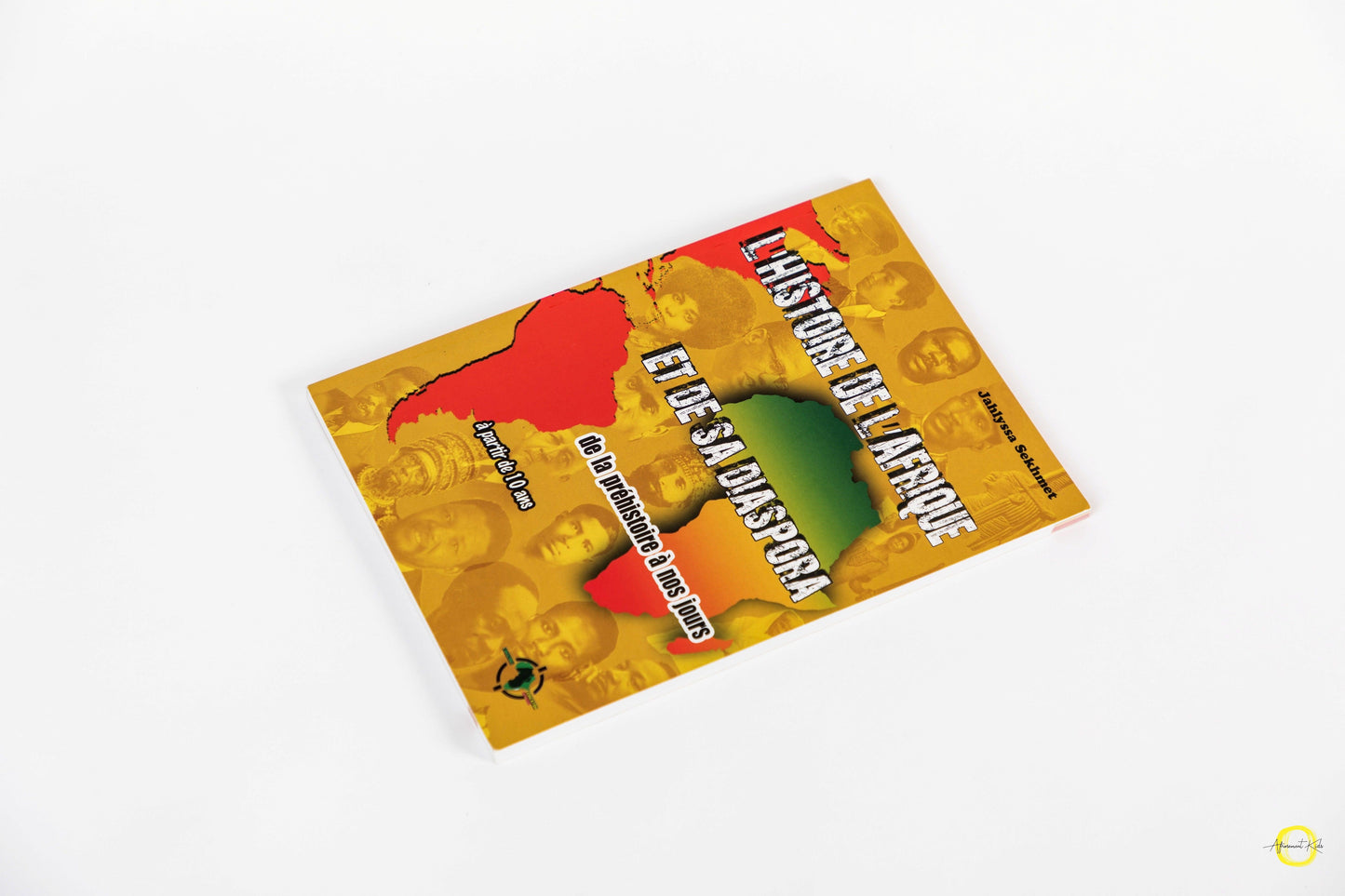 Livre " L'Histoire de l'Afrique et de sa diaspora, de la préhistoire à nos jours. " - AfrosementKids